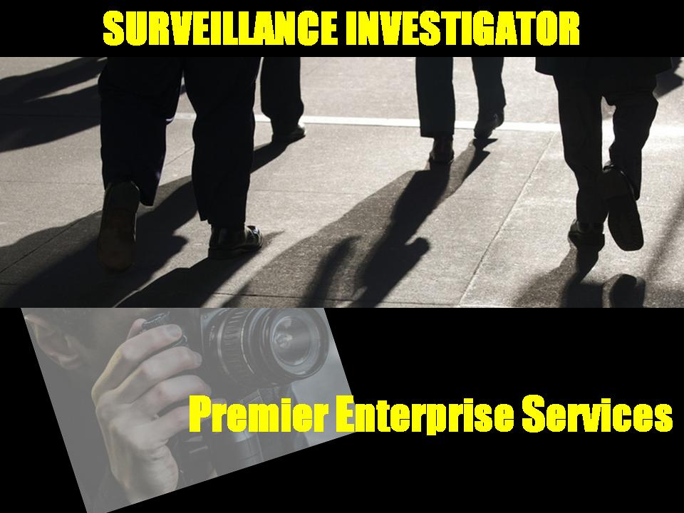 Surveillance Investigator